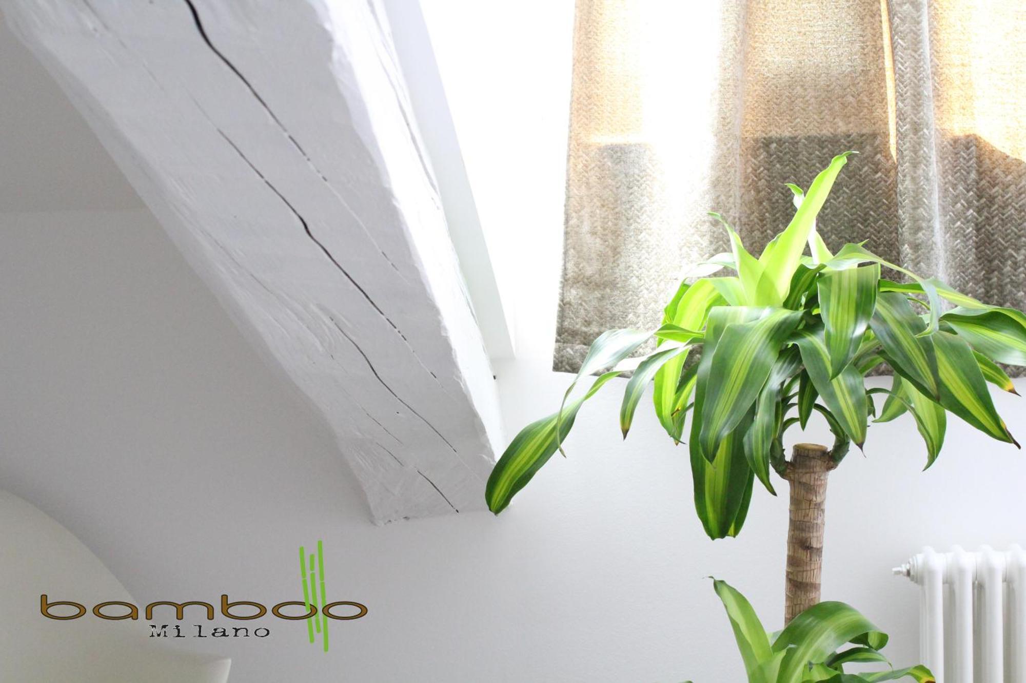 Bamboo Milano Isonzo Apartment Bagian luar foto